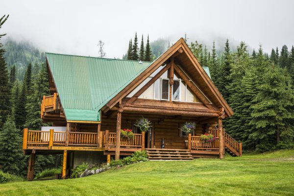 Cabin Roof Cleaning